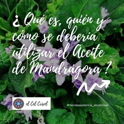 Aceite de Mandrágora