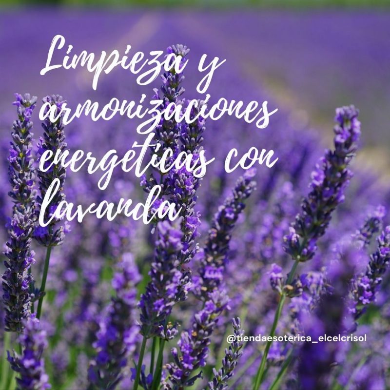 Limpieza con lavanda