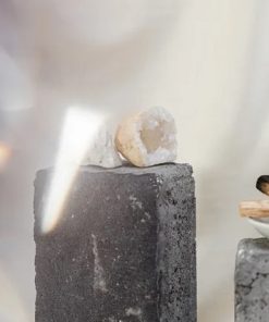 Productos para la limpieza y protección