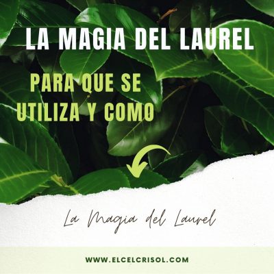 La magia del Laurel